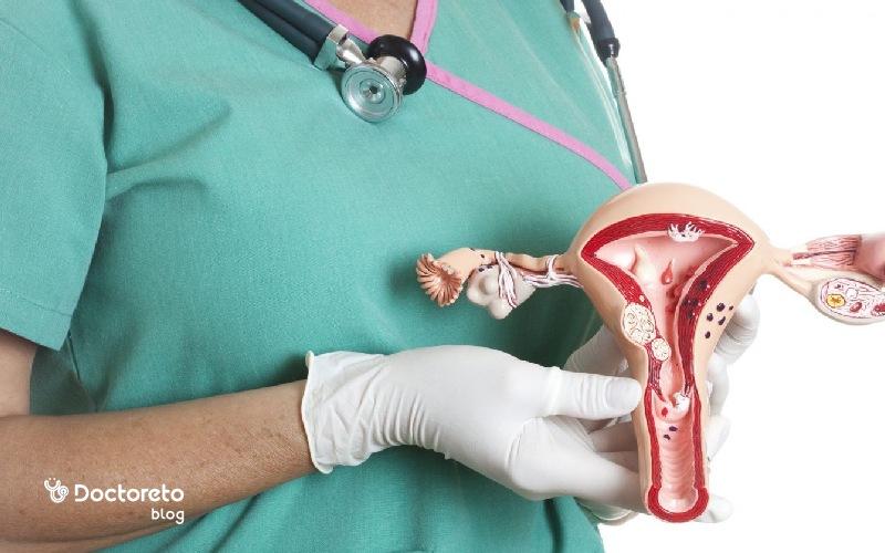 نگاهی دقیق و جزئی به دستگاه تناسلی زن و اجزای آن