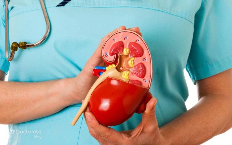 آزمایش عملکرد کلیه؛ راهنمای خواندن برگه آزمایش و تحلیل نتیجه آن