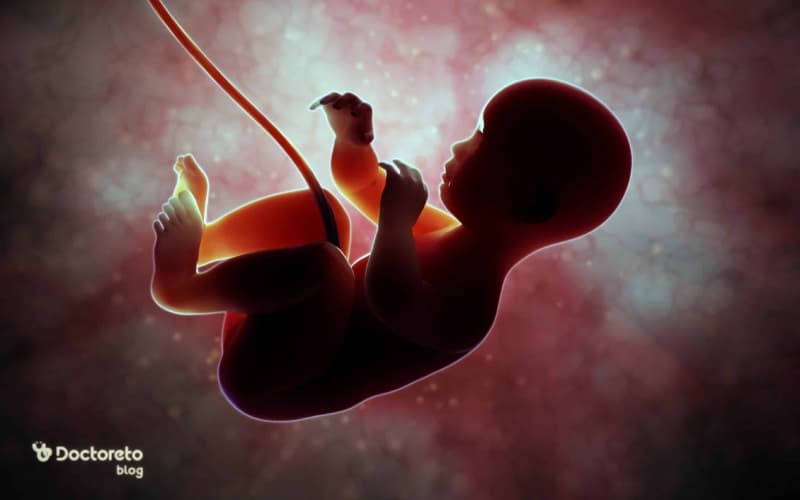 ۹ مورد از علائم جنین مرده در شکم که باید بدانید