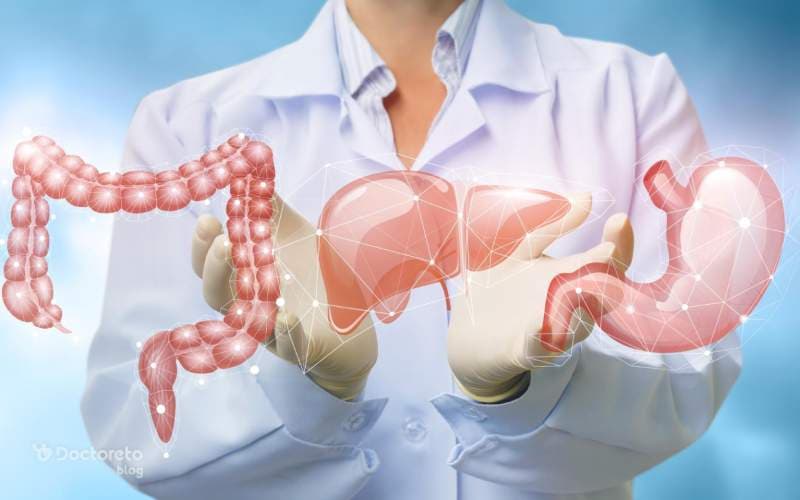 دستگاه گوارش چیست؟ بررسی کامل از صفر تا صد