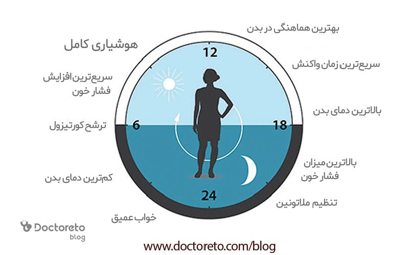 چرا تنظیم ساعت بیولوژیک بدن مهم است؟