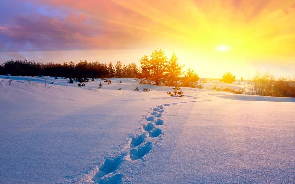 7 تاثیر زمستان و سرما بر بدن