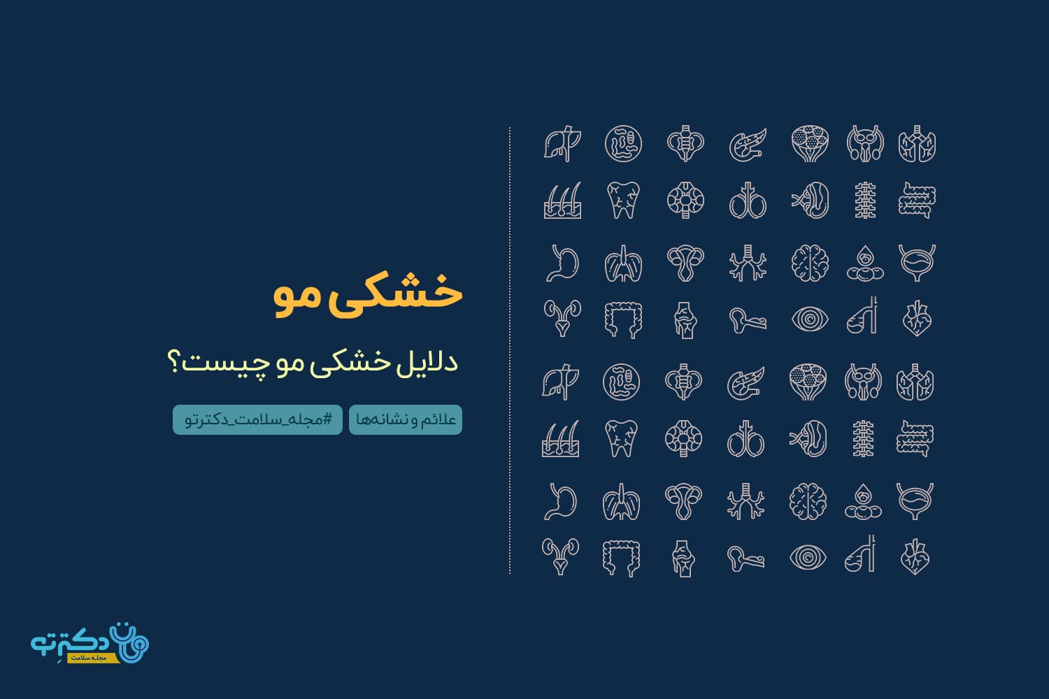 خشکی مو دلایل خشکی مو