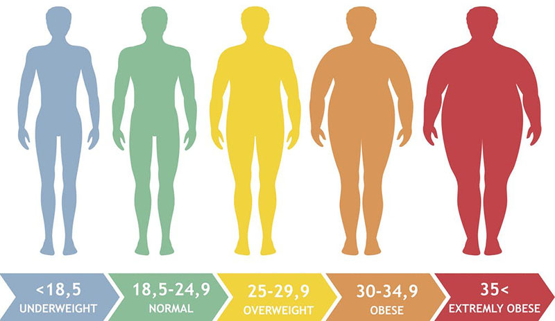 چگونه چاقی تشخیص داده می شود و علت آن چیست؟
