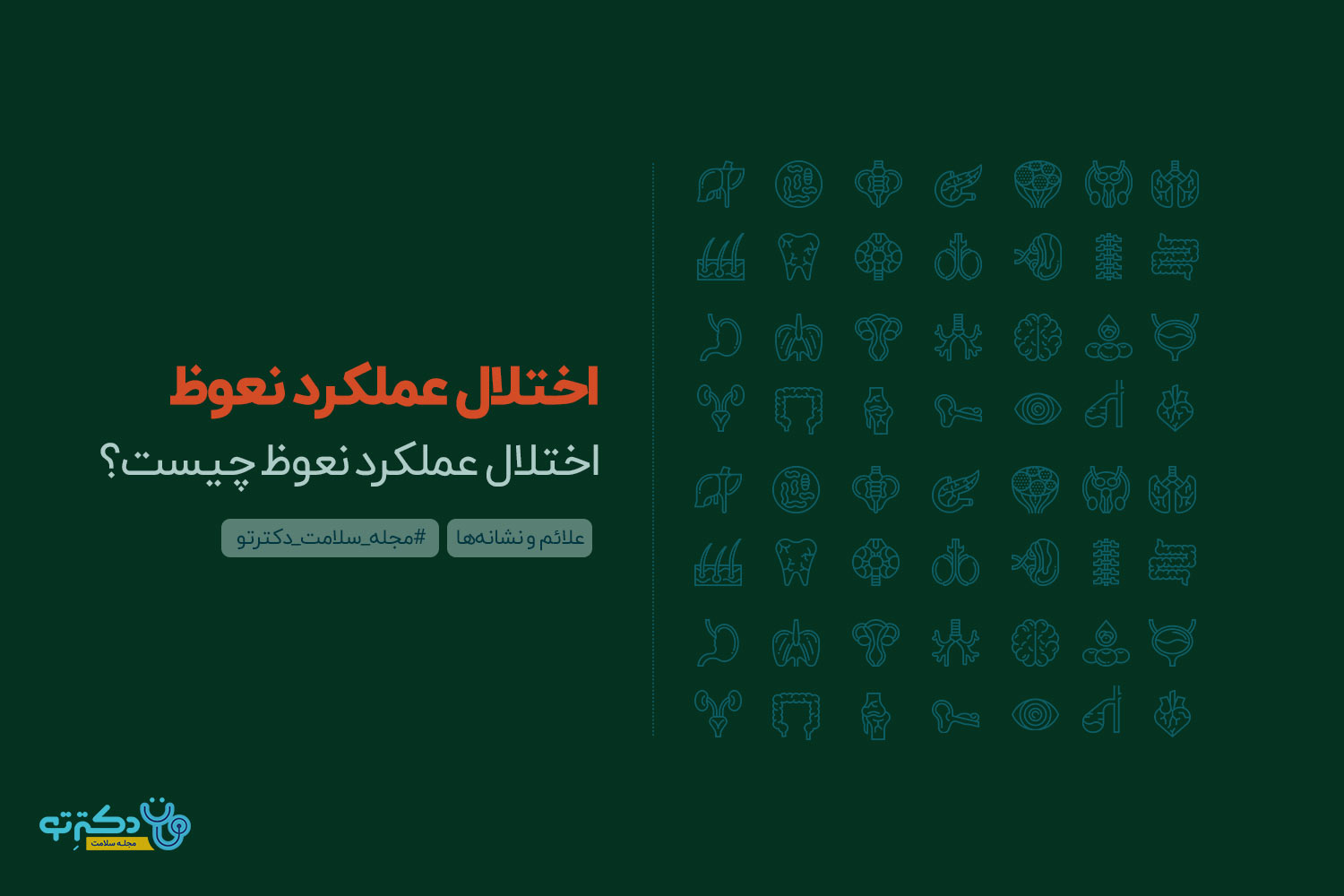 اختلال-عملکرد-نعوظ اختلال عملکرد نعوظ