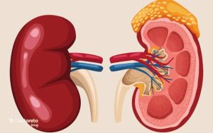 بیماری فئوکروموسیتوم چیست و چگونه ایجاد میشود؟