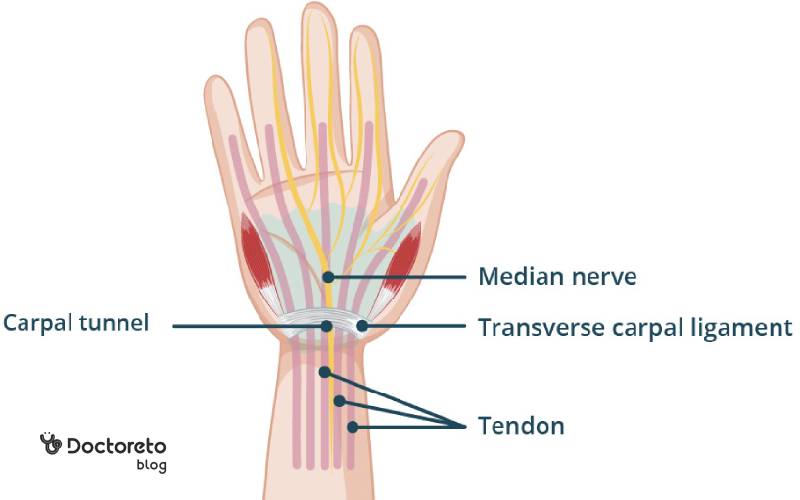 عکس تونل کارپال
