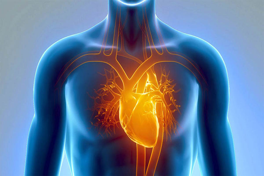 بیماری‌های قلب انواع مختلفی دارند. 
