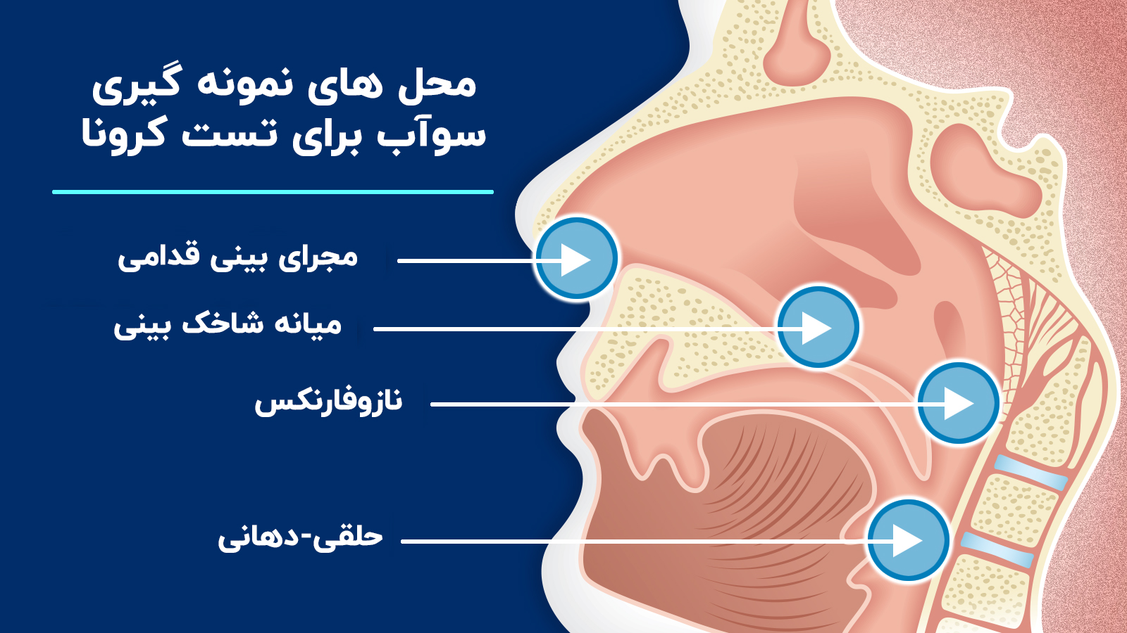 نمونه گیری کرونا