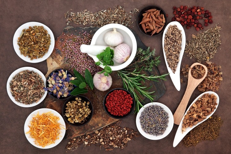 Herbs-for-infertility-treatment