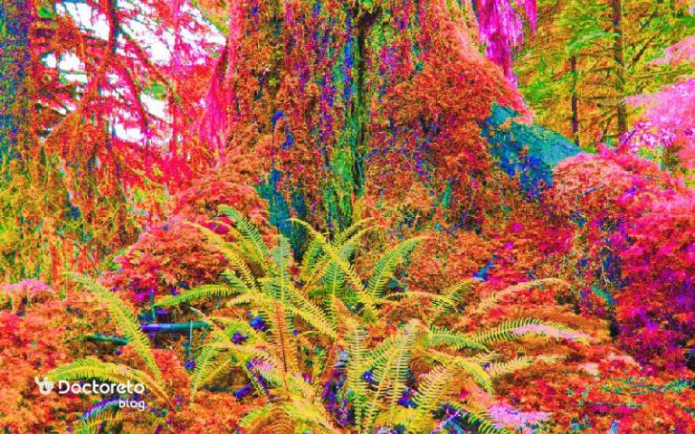 LSD چیست؟ ال اس دی و هر آنچه درباره آن باید بدانید