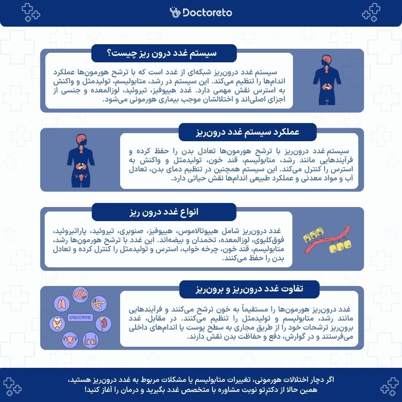 اینفوگرافی سیستم غدد درون ریز