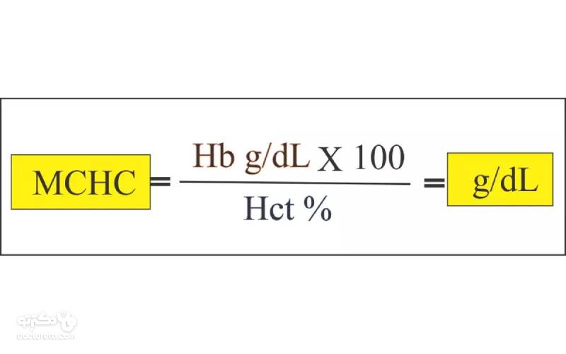 MCHC در آزمایش خون به چه معناست؟