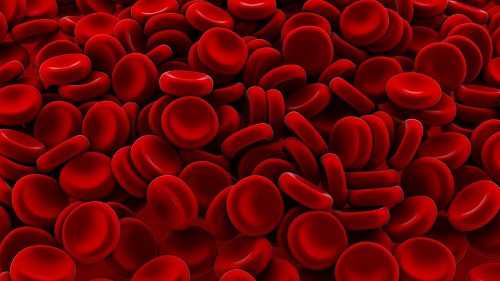what is polycythemia