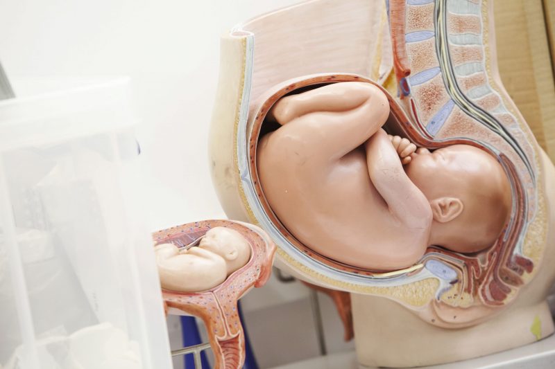 cirvix in pregnancy