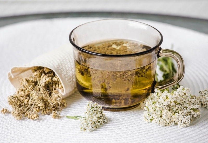 yarrow tea for stomach disease