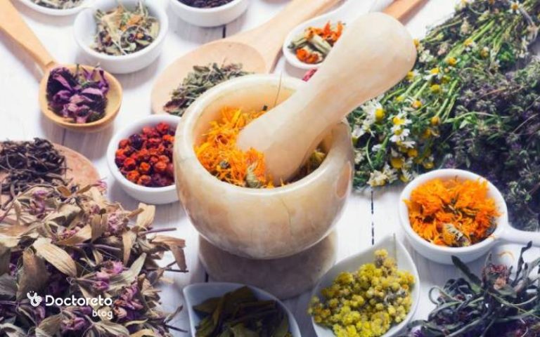 معرفی ۱۶ آنتی هیستامین طبیعی برای آبریزش بینی و حساسیت