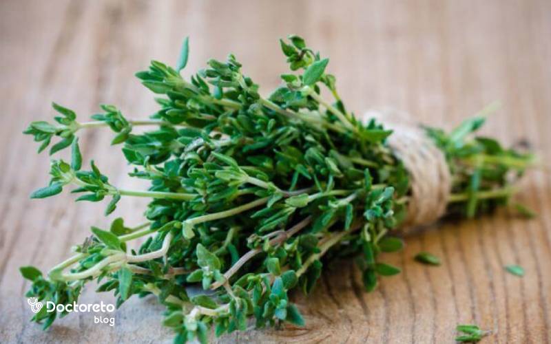 عکس آویشن کوهی