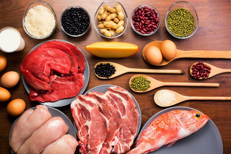 گروه غذایی پروتئین و حبوبات