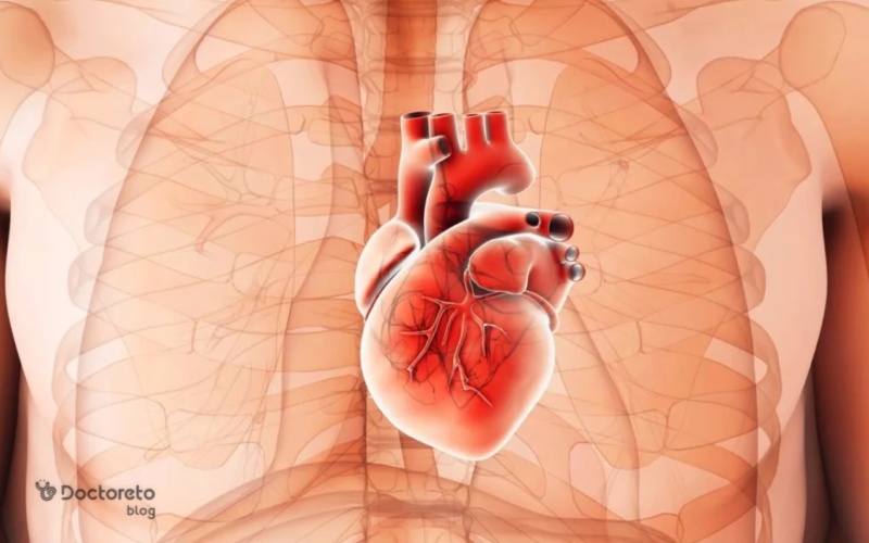 علل و عوامل خطر بزرگ شدن قلب چیست؟