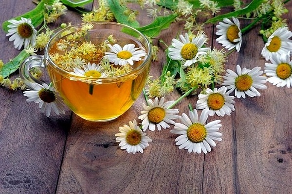بابونه و چای در درمان آلرژی موثر است. 