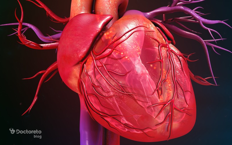 کاردیومیوپاتی هیپرتروفیک یا ضخیم شدن ماهیچه قلب چگونه اتفاق می افتد؟