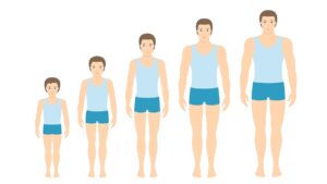 Height-increase-at-different-ages-1