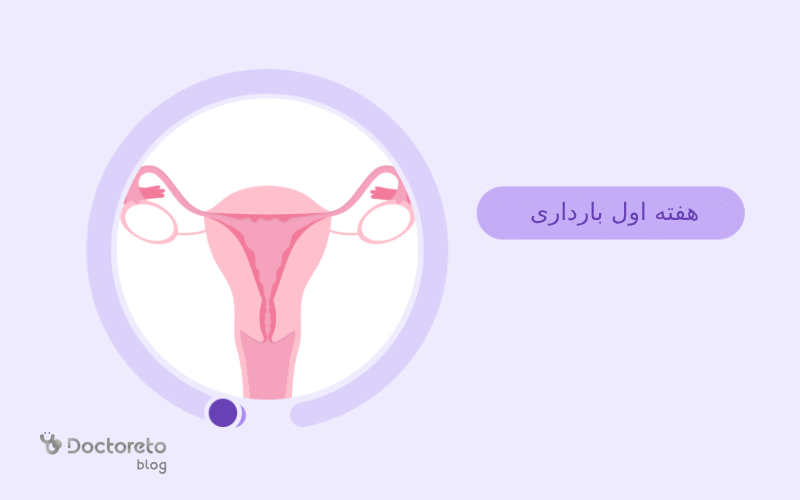 هفته اول بارداری، علائم و باید و نبایدهای این هفته از حاملگی