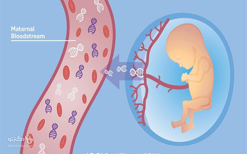 بررسی DNA جنین در بارداری