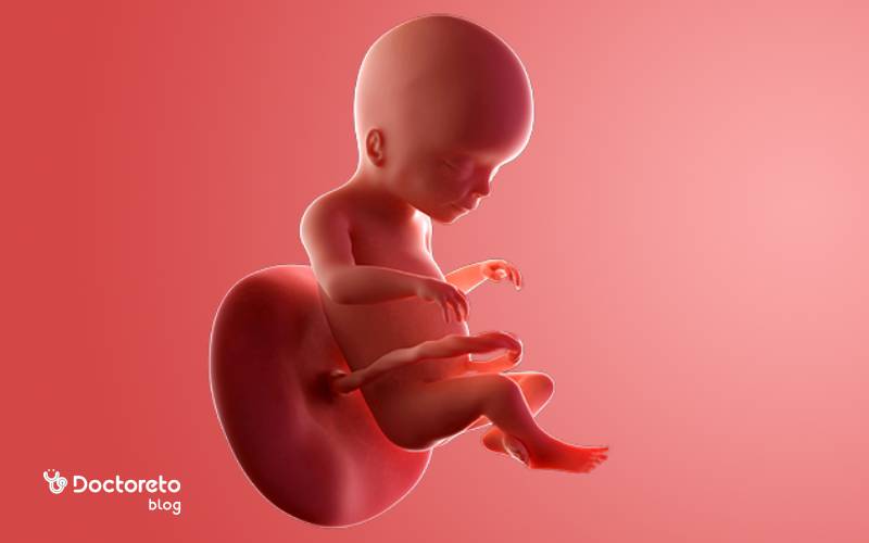 عکس جنین ۱۸ هفته دختر و پسر