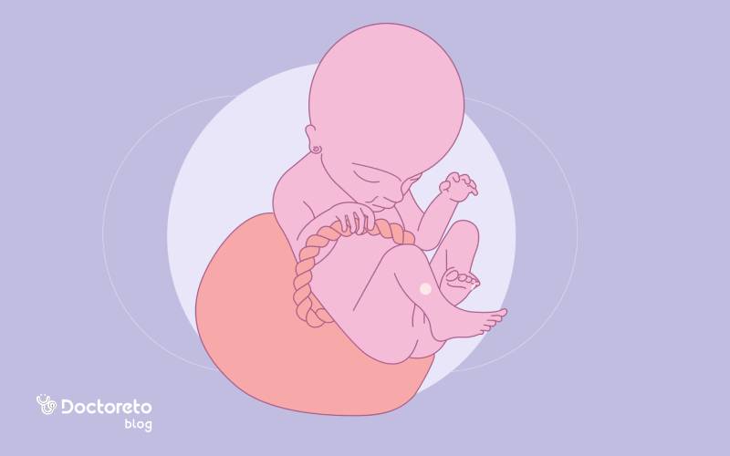 در هفته هجدهم بارداری جنین کجای شکم قرار دارد؟