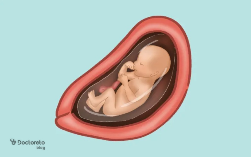 هفته ۲۲ بارداری، وضعیت مادر و جنین و نکات مهم آن