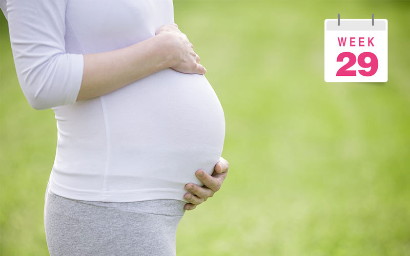 شکم شما در هفته 29 بارداری به قدری بزرگ می‌شود که احتمالا پاهای خود را نمی‌توانید ببینید.