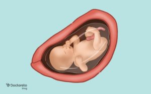 هفته ۳۱ بارداری، وضعیت جنین و علائم مادر در این هفته