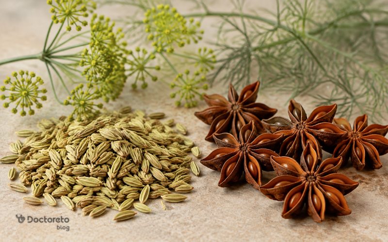 عکس رازیانه و بادیان