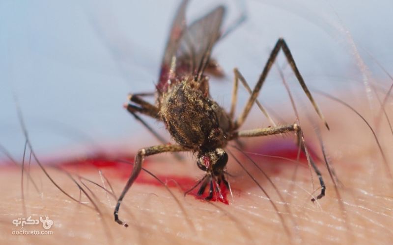 تنها راه تشخیص بیماری‌های عفونی مثل مالاریا آزمایش خون است.