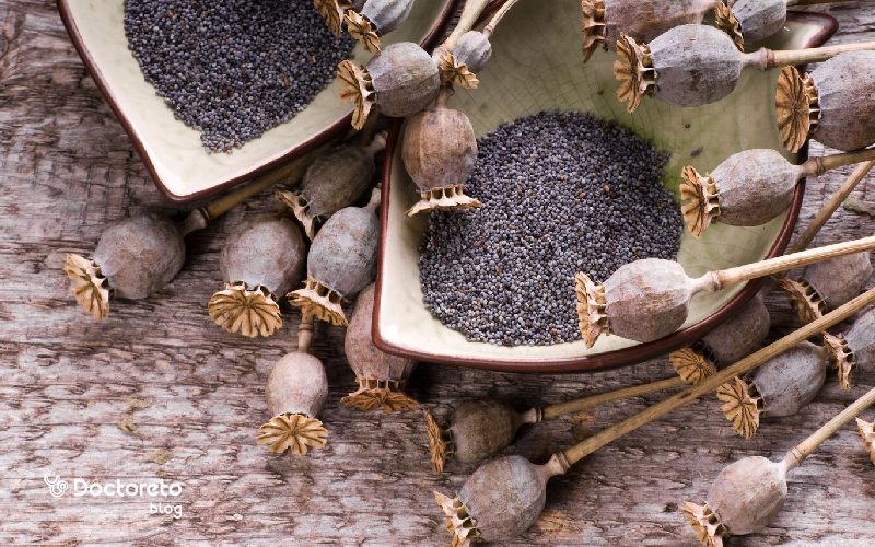 نحوه مصرف دانه خشخاش برای لاغری