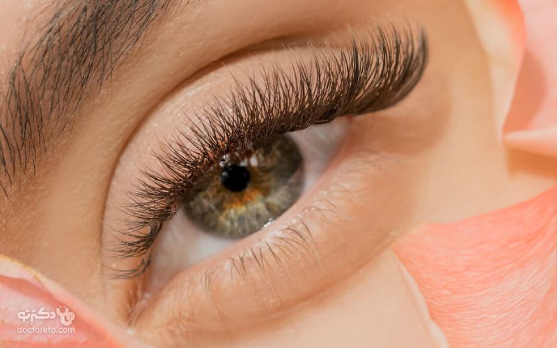 درباره مژه گربه ای