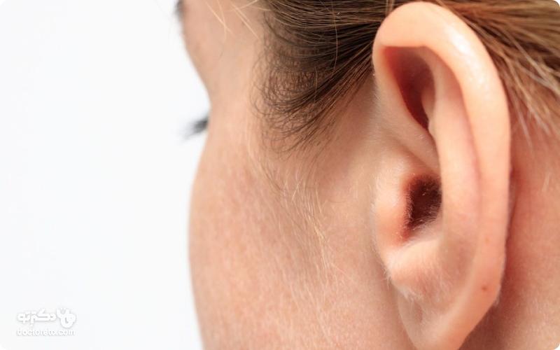 نقش پرده گوش در شنوایی چیست؟