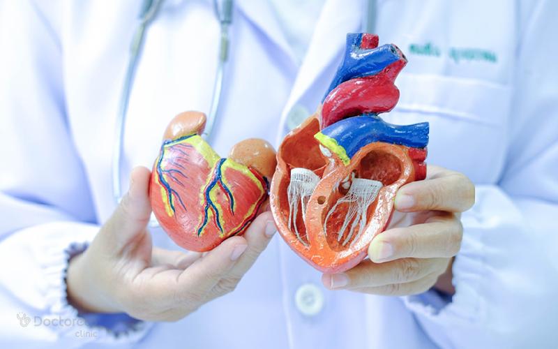 کار دریچه های قلب چیست؟