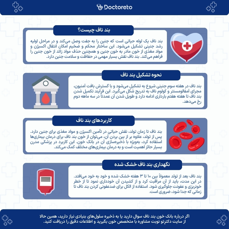 اینفوگرایف بندناف