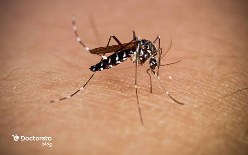 آیا تب دنگی کشنده است؟