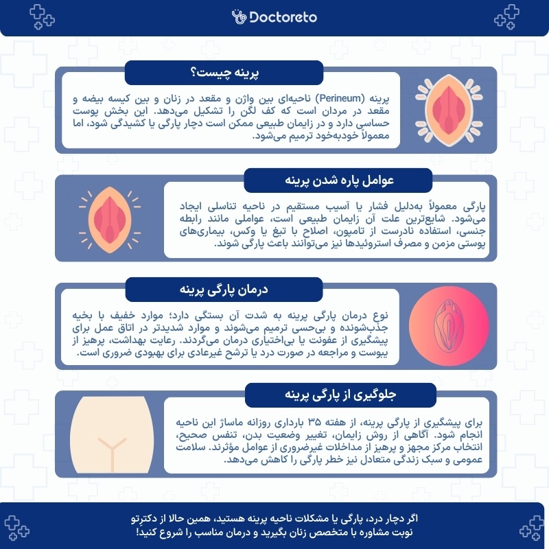 اینفوگرافی پرینه