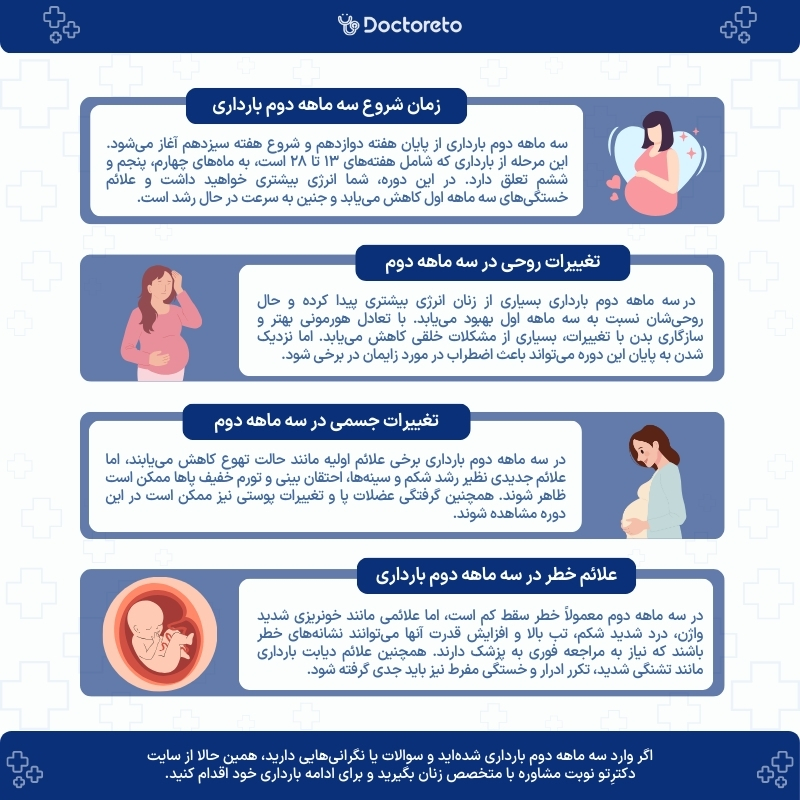 اینفوگرافی سه ماه دوم بارداری