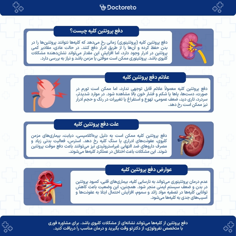 اینفوگرافی دفع پروتئین کلیه
