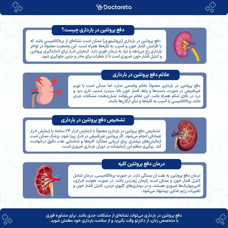 اینفوگرافی دفع پروتئین در بارداری