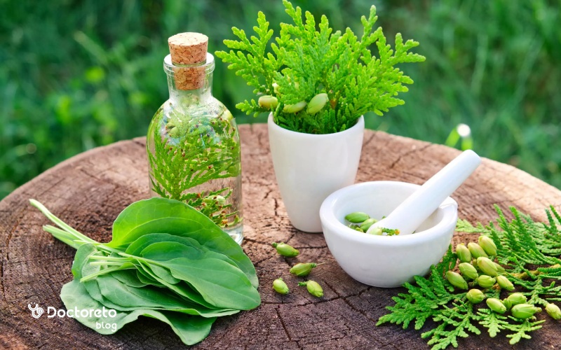 چگونه داروی گیاهی مناسب را انتخاب کنیم؟
