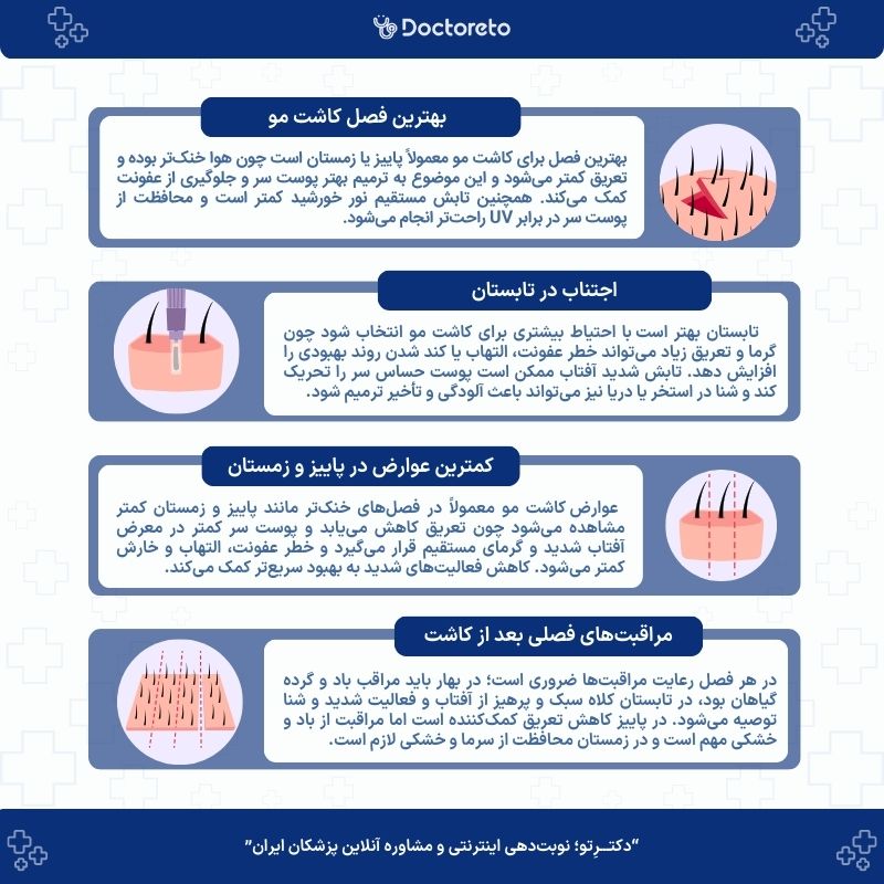اینفوگرافی بهترین فصل کاشت مو چه زمانی است؟