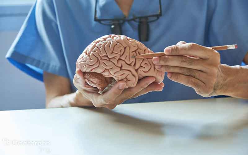 تقویت مغز و اعصاب از چه روش هایی ممکن است؟