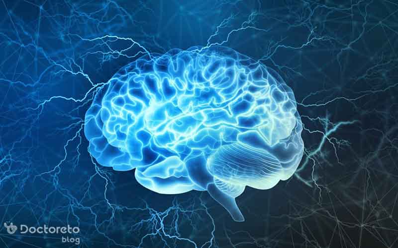 عکس سیستم عصبی انسان چگونه است؟